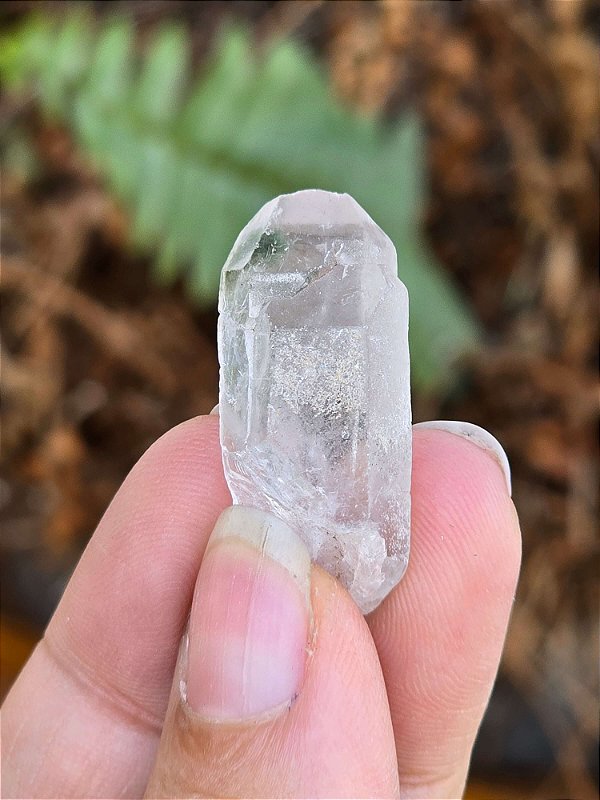Ponta de Quartzo Xamânico Gêmeos com Lodolita verde - Cod. PTN 340