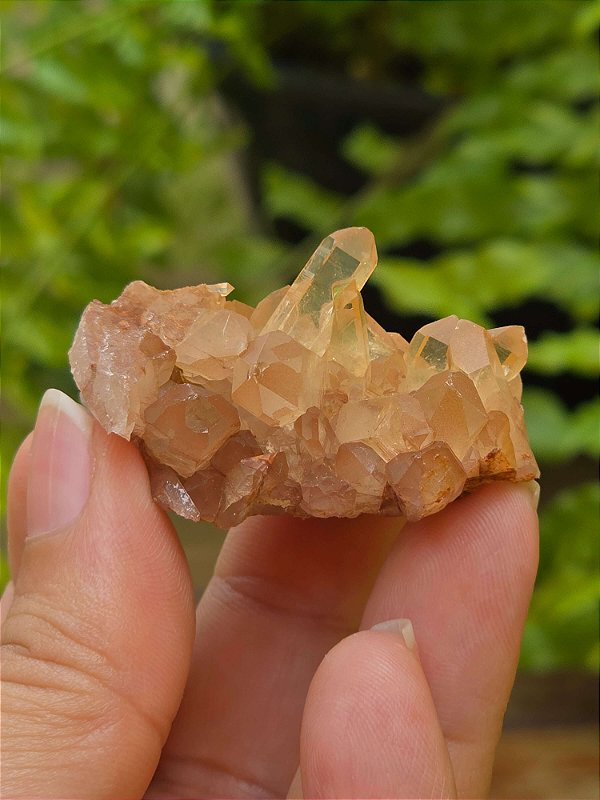 Drusa de Quartzo Tangerina - Cod. PCO 67