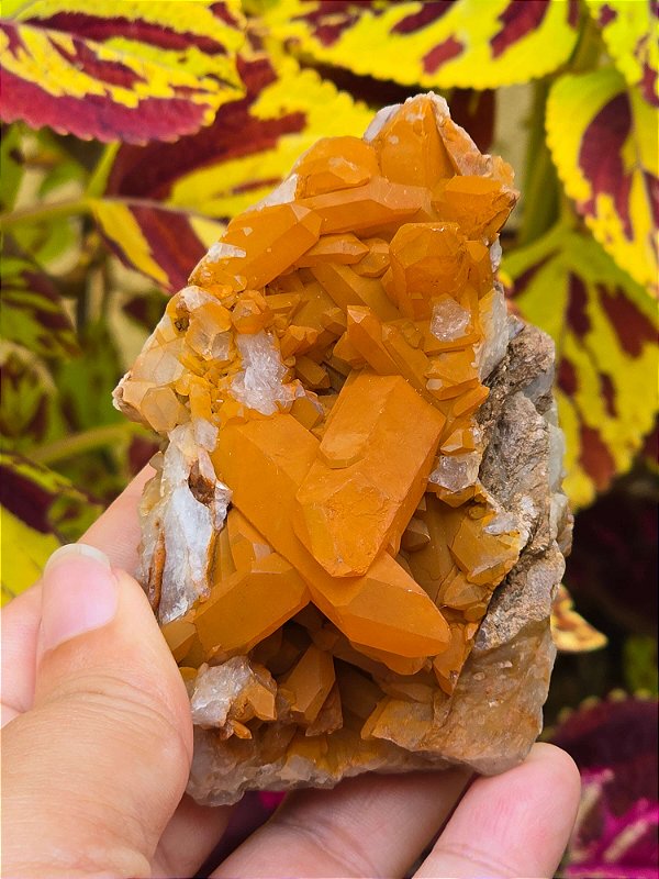 Drusa de Quartzo Tangerina - Cod. DRU 427