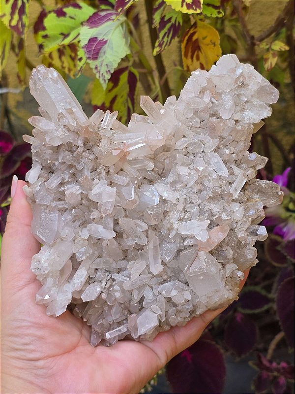Pinha de Quartzo com Lítio Extra Elestial Craca - Cod. PCO 123