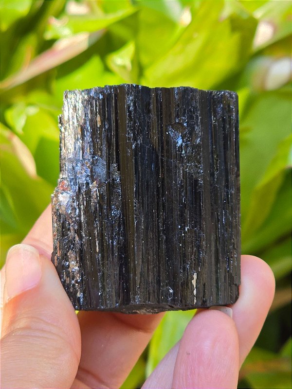 Turmalina Negra - Cod. TUN 197