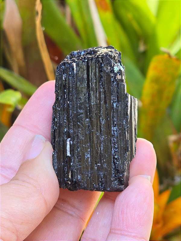 Turmalina Negra - Cod. TUN 206