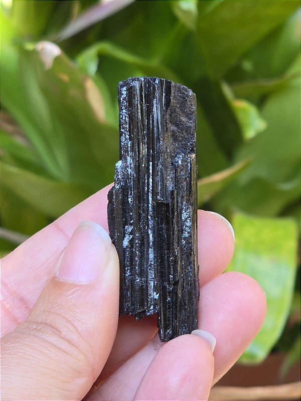Turmalina Negra - Cod. TUN 211