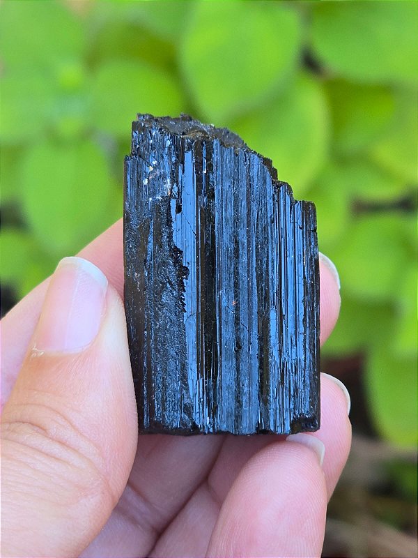 Turmalina Negra - Cod. TUN 212