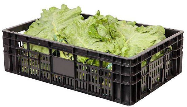 Caixa Plástica Agrícola Vazada CP17 TA