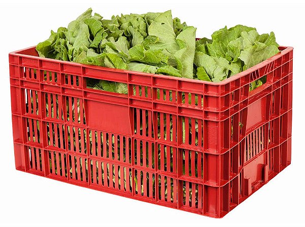 Caixa Plástica Agrícola Vazada CP31 TA 6040 Vermelha