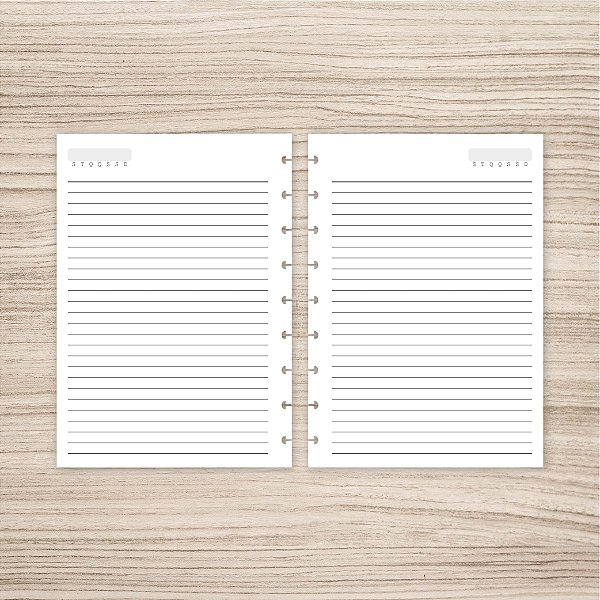 Refil Pautado para caderno de discos
