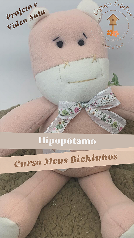 Hipopotamo Charmoso - Projeto e Video Aula
