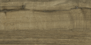 Porcelanato 30X60 GDN Carvalho HD Hard 57720 Portinari