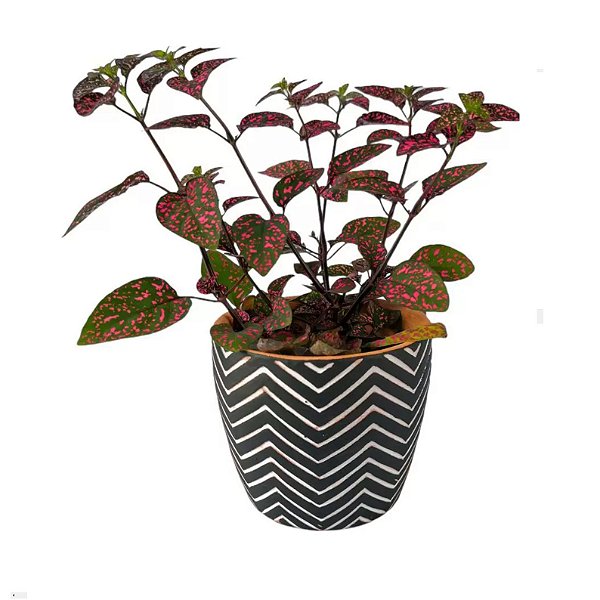 Cachepot De Cerâmica Preto Zig e Zag 8 Cm