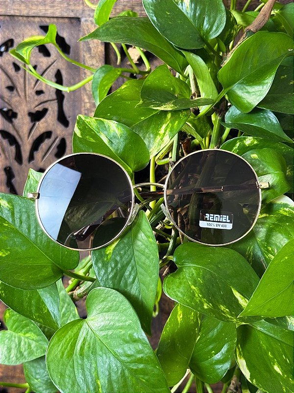 Óculos Jannis | Castanho