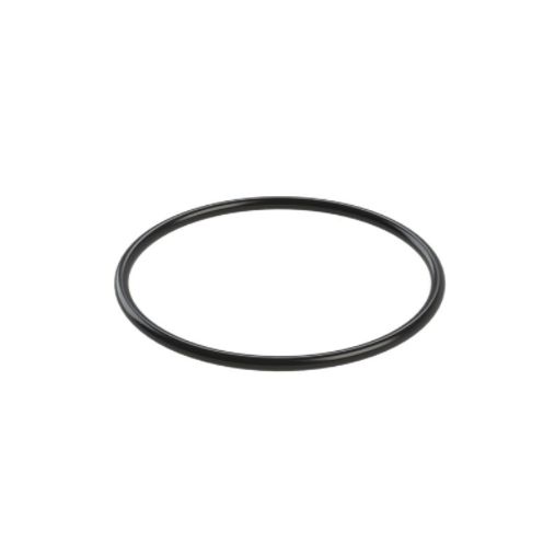 ANEL O'RING PARA BOMBA DANCOR LINHA DS-9