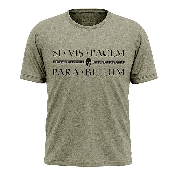SI VIS PACEM PARA BELLUM