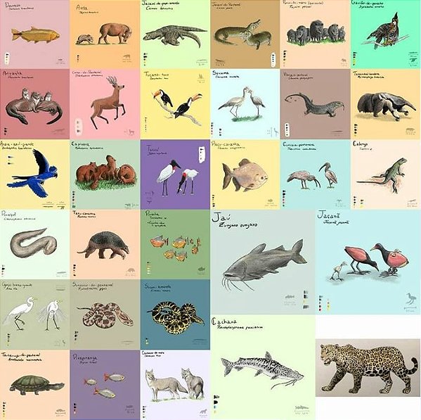 Pôster Pantanal - animais avulsos