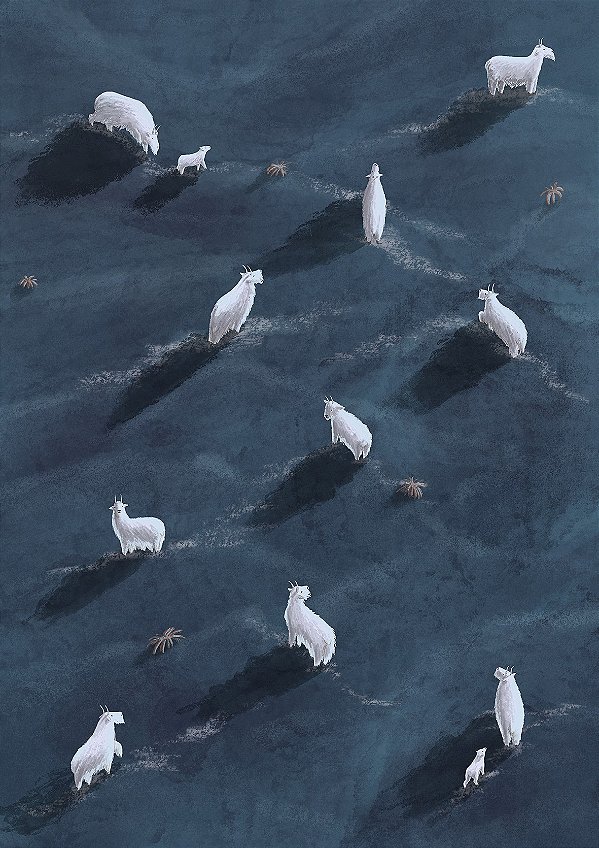 Pôster Cabritas Incabreiráveis