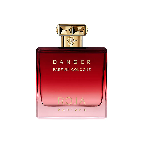 Perfume Roja Danger Pour Homme Parfum Cologne 100ml