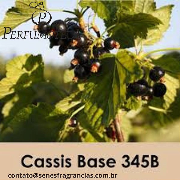 Cassis Base SF 345