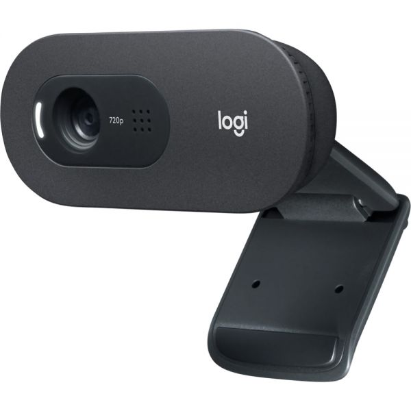 Webcam Logitech C505 Usb Hd - Preto (960-001367)