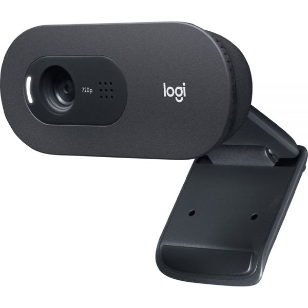 Webcam Logitech C505E Hd - Preto (960-001372)