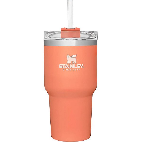 Copo Térmico Stanley Adventure com Canudo - Grapefruit 590mL