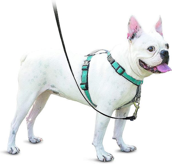 Peitoral para Cachorro 3 em 1 sem Puxar PetSafe - Passeio, Treino ou Viagem - Ajuda a Evitar que os Animais Puxem durante os Passeios - Argola para Cinto de Segurança Também Serve como Al