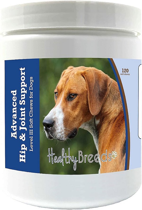 Por favor, note que a tradução a seguir foi feita automaticamente e pode conter erros.

Suporte Avançado para Quadril e Articulações do Cão da Raça English Foxhound da Healthy Breeds - Promove uma Vida Ativa e Confort