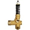 Annovi Reverberi VRT3-310A Válvula de Alívio, Mola Preta, 4500 PSI, 10.5 GPM, Sem Knob de Ajuste, Latão