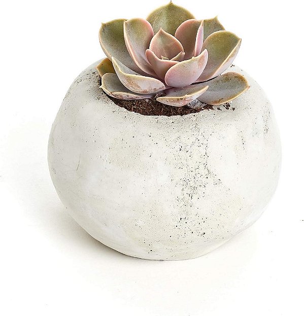 Vaso clássico de concreto para suculentas, vaso de cimento para uma única planta suculenta, cinza.