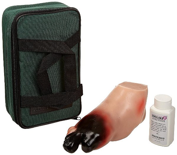Modelo de pé diabético grave Biolike EDCO HEALTH W43107A
