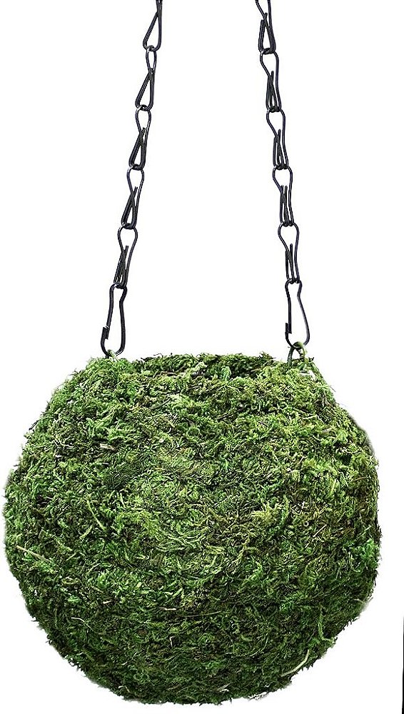 SuperMoss (29348) Kokedama Planter, 6, Verde Fresco