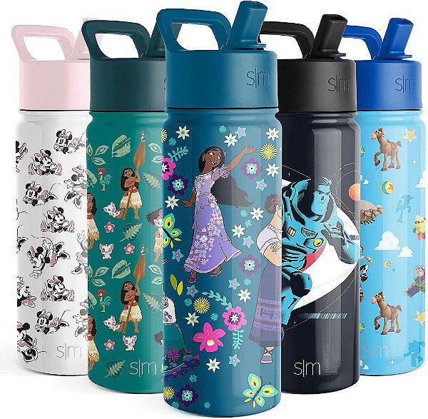 Garrafa de água Disney Encanto Simple Modern com tampa de canudo | Copo de aço inoxidável isolado reutilizável para meninas, escola | Coleção Summit | 18oz, Encanto