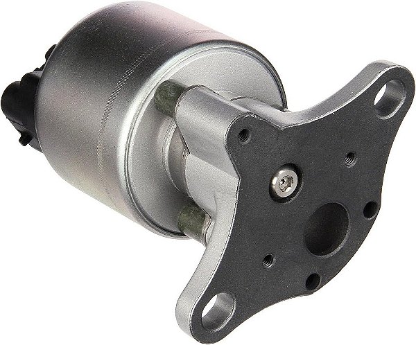Válvula EGR Delphi EG10031