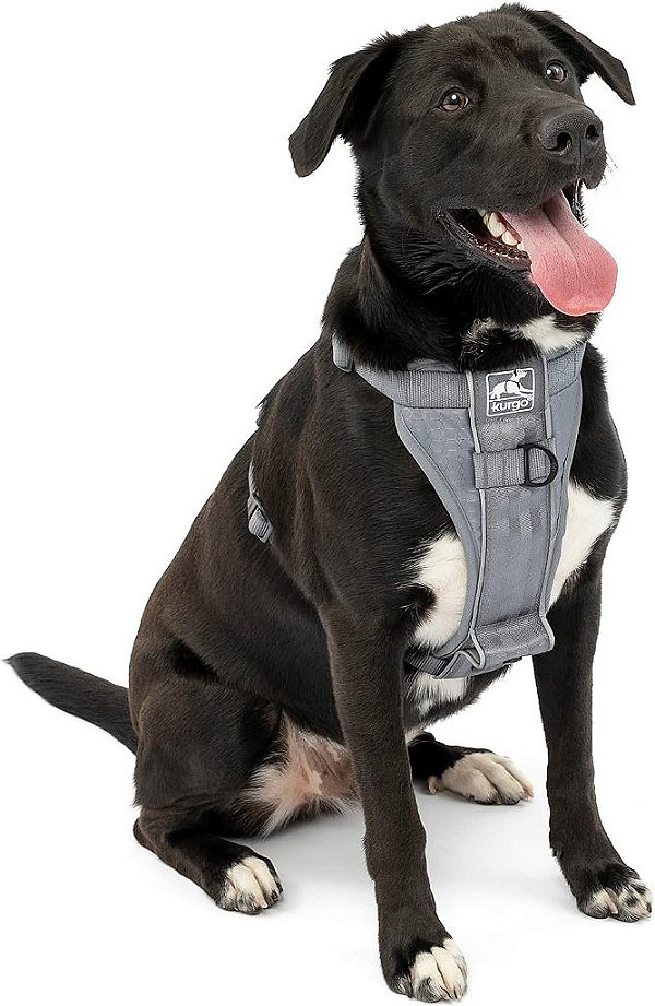 Peitoral para Cachorro com Liberação Rápida Kurgo Tru-Fit - Peitoral Durável para Uso Diário - Caminhada, Corrida, Corrida - Fivelas de Liberação Rápida Refletivas - Incl