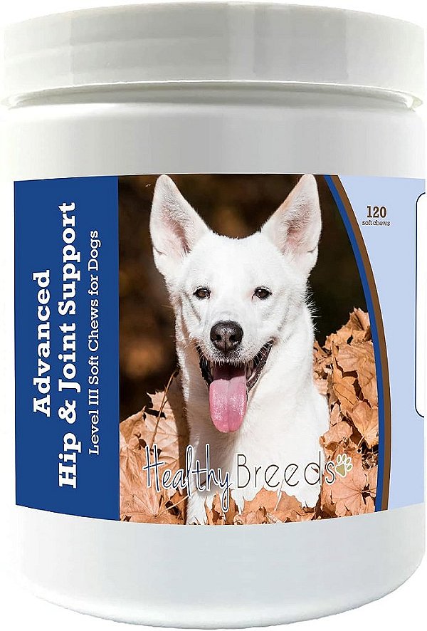 Suplemento avançado de suporte para quadril e articulações para cães - Raças Saudáveis Canaan Dog - Promove uma vida ativa e confortável com glucosamina, condroitina e mexilhão de lábios verdes - 120