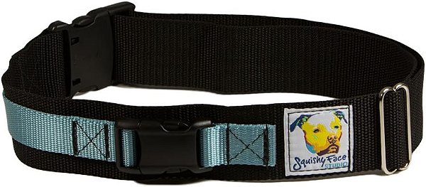 Cinto de coleira para cães sem mãos do estúdio Squishy Face - Pequeno-Médio - Azul Oceano