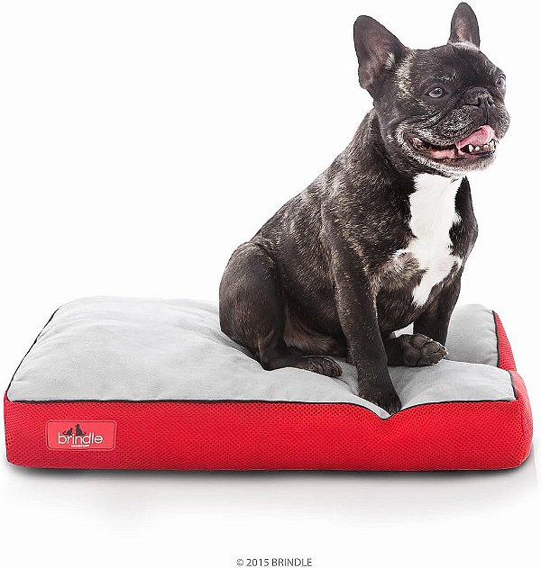 Cama para cachorro de espuma viscoelástica fragmentada com capa removível e lavável - Cama ortopédica fofa para animais de estimação - 17 x 11 polegadas - Vermelho