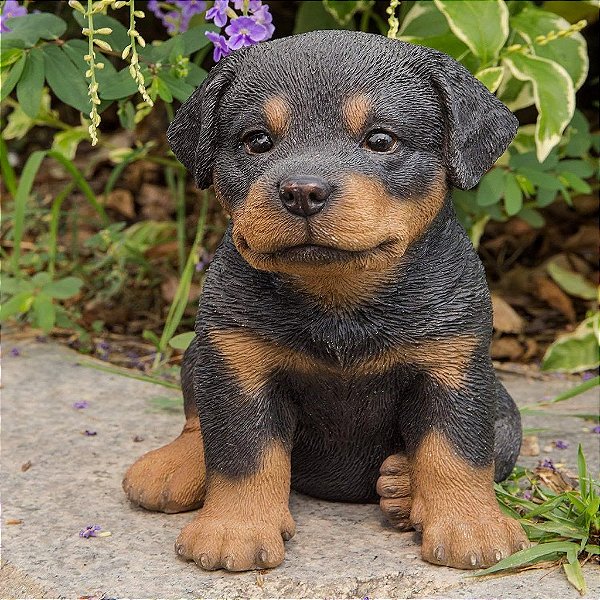 Hi-Line Gift Ltd. Sentado Rottweiler Filhote, 6.5