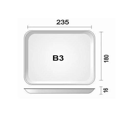 Bandeja Isopor B3 Rasa 100 unidades