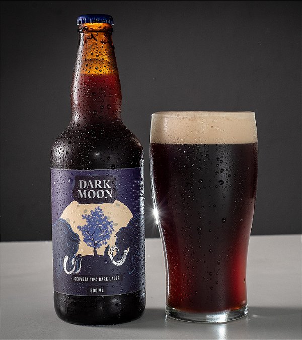 Cerveja Dark Moon (500ML)