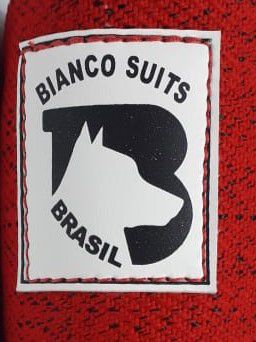 Manguin Intermediário