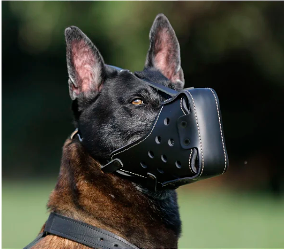 Focinheira de Combate