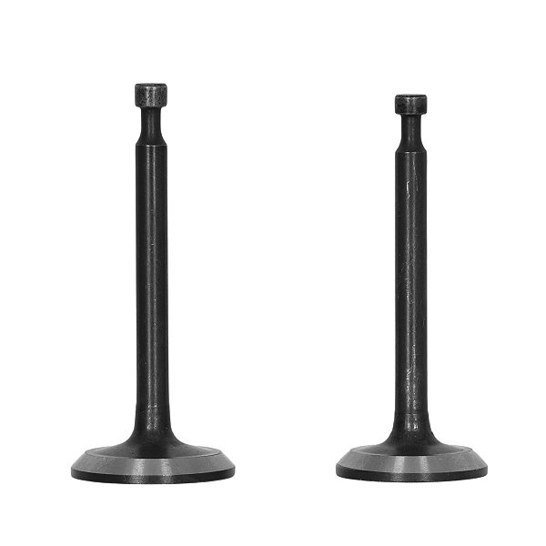Kit de válvulas para Gerador a Gasolina TS3600EB Tssaper TSGER60