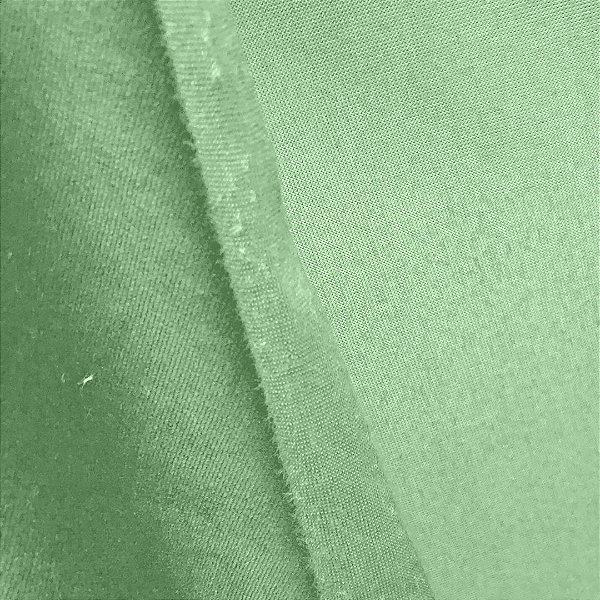Tecido Plush - Verde Claro - 1,70m de Largura