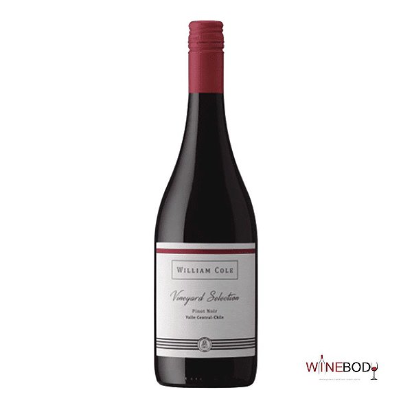 William Cole Vineyard Selection Pinot Noir, Vale Central, Chile