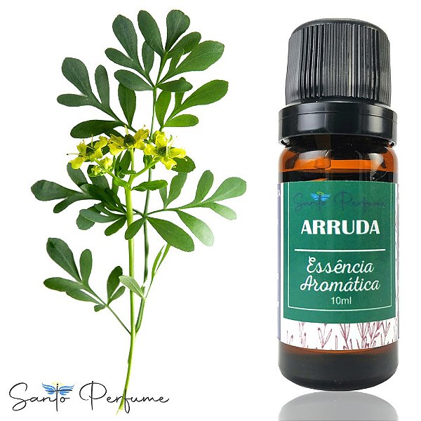Essência Aromática de Arruda 10ml