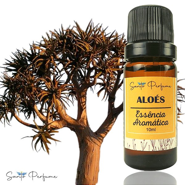 Essência Aromática de Aloés 10ml