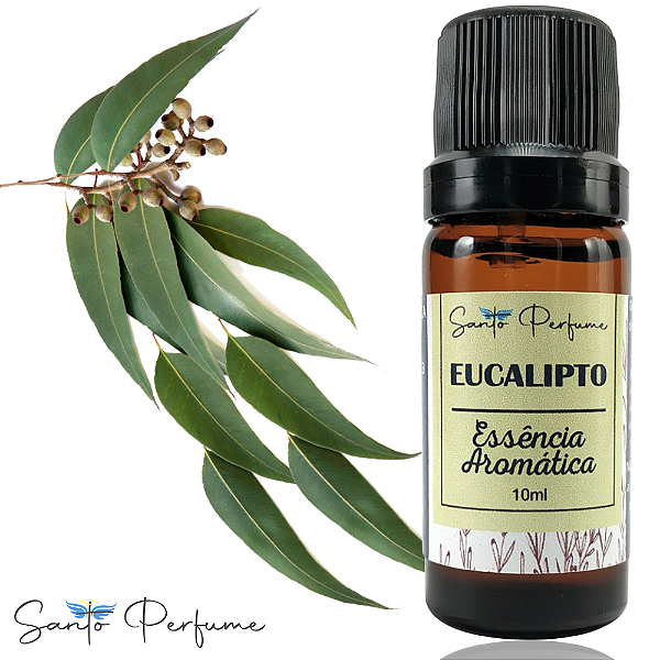 Essência Aromática de Eucalipto 10ml