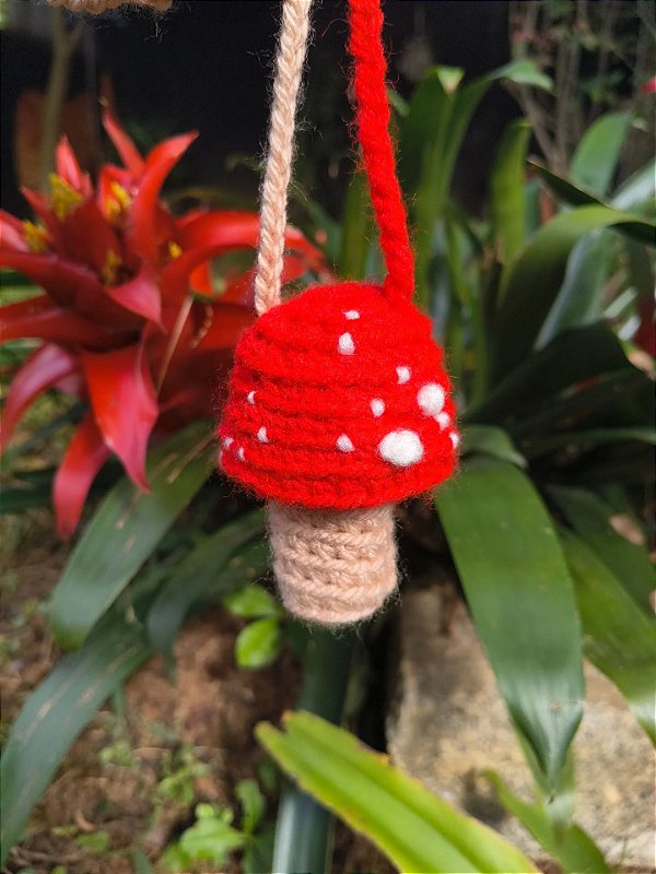 Cogumelo amor perfeito