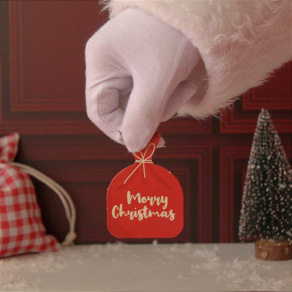 Tag Presente de Natal (10 unidades)