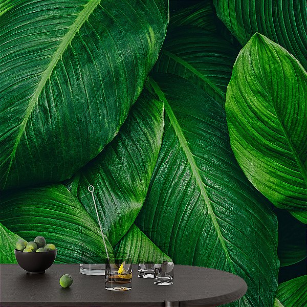 Papel de Parede Folhas Largas Verde Floresta